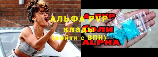 гашик Белокуриха