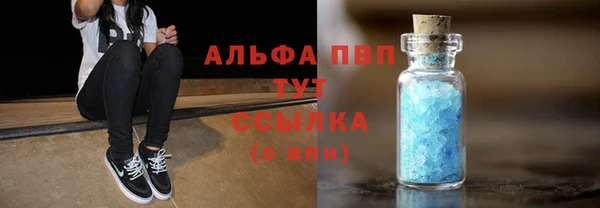 гашик Белокуриха