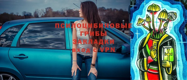 гашик Белокуриха