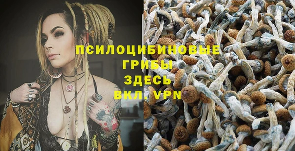 ешки Беломорск