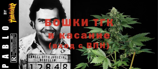 гашик Белокуриха