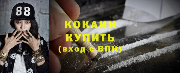 гашик Белокуриха