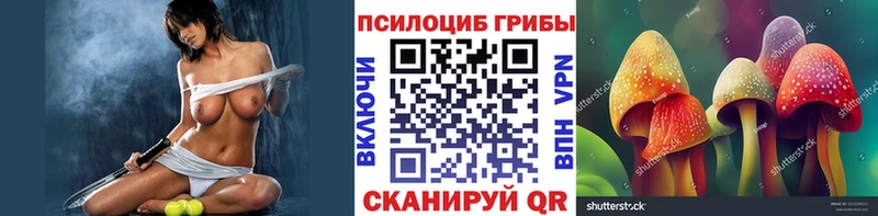 сколько стоит  Ростов-на-Дону  Псилоцибиновые грибы Magic Shrooms 